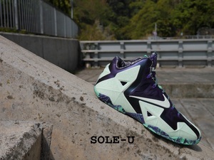 Image of Lebron 11 *Gator King/All Star* 2014