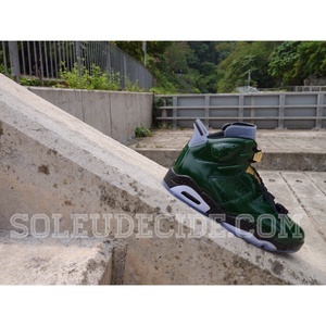 Image of Jordan 6 *Champagne Bottle* 2014